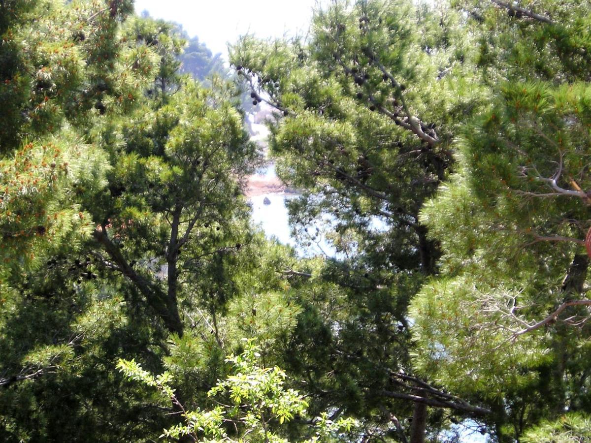 By The Sea Brela, Makarska - 2713 Apartment *
